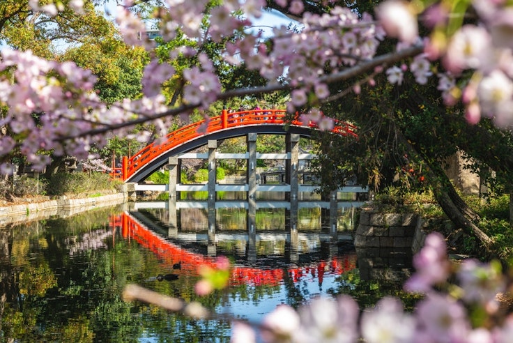 Sumiyoshi Taisha Shrine