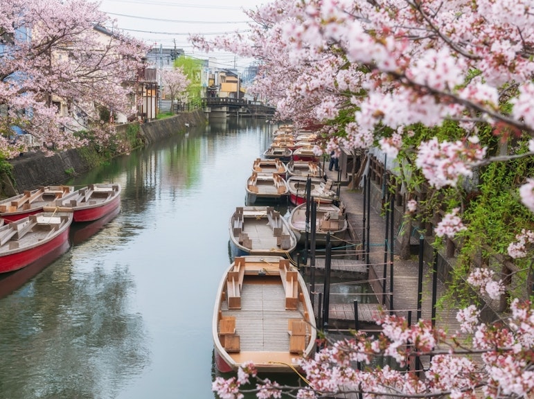Fukuoka Yanagawa River Cruise Ticket with Grilled Eel Rice Lunch