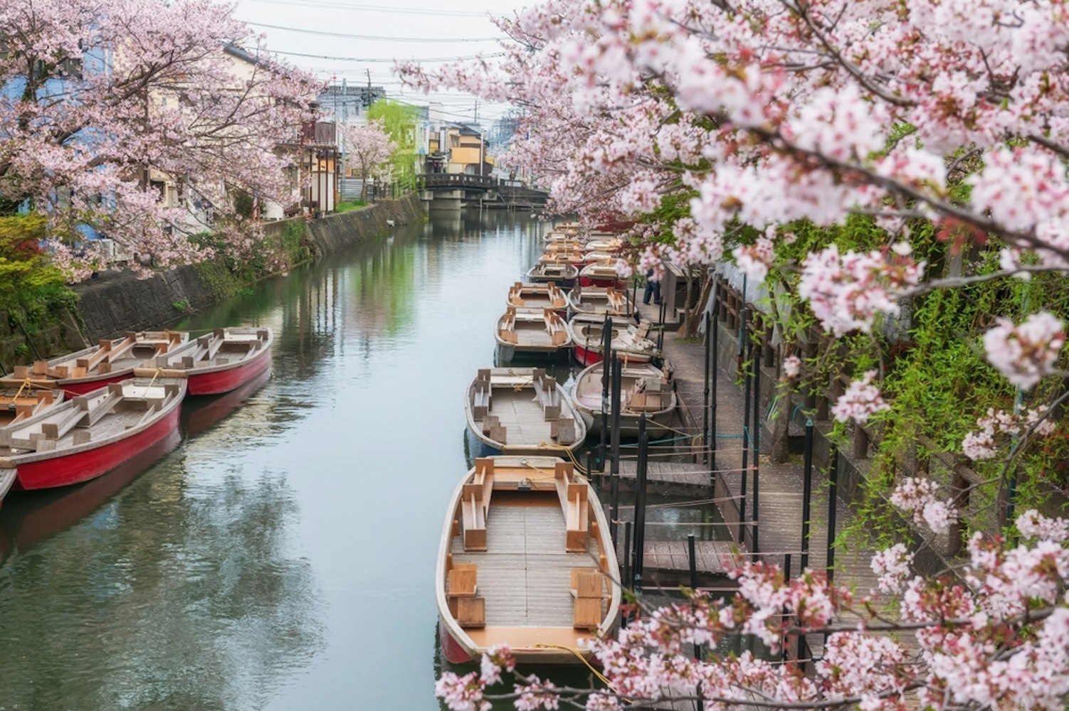 Yanagawa River Cruise