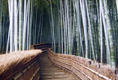 Arashiyama Tour