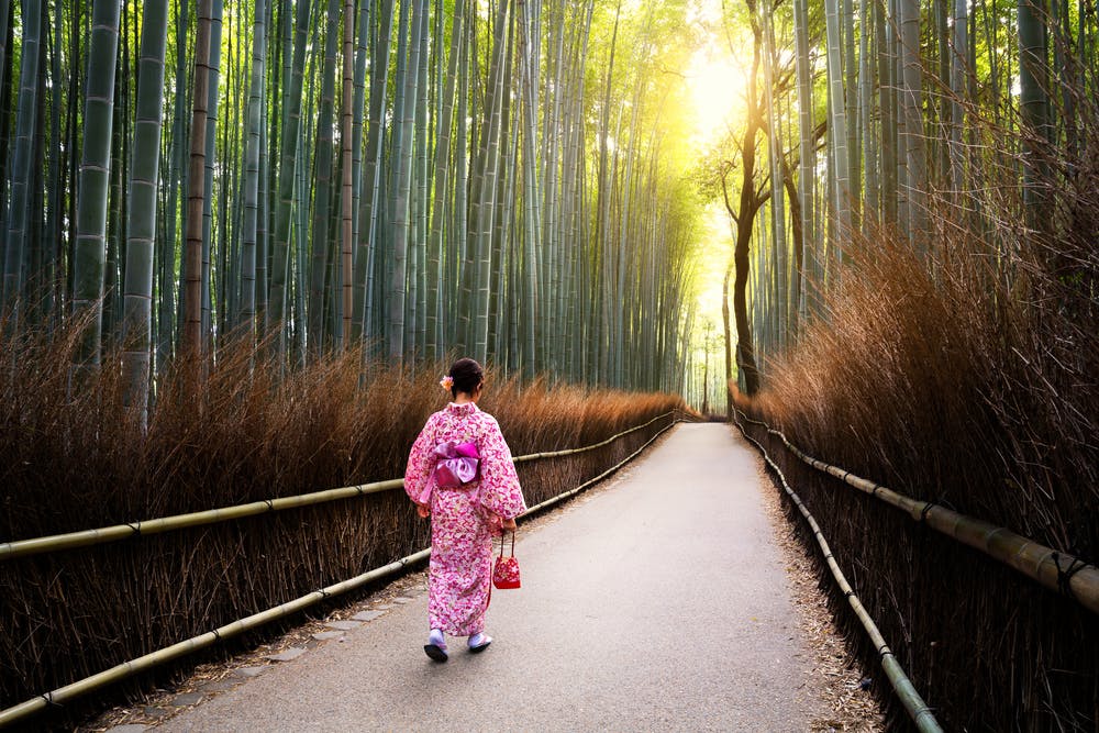 Arashiyama Bamboo Grove