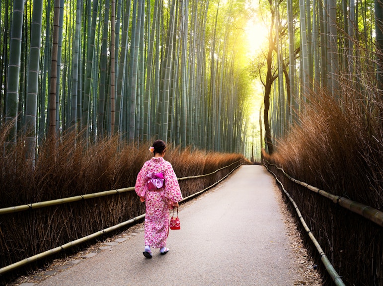 Kyoto Sagano Bamboo Grove & Arashiyama Walking Tour