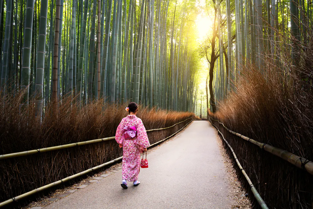 Arashiyama Bamboo Grove