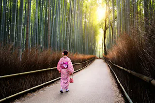 Arashiyama Bamboo Grove