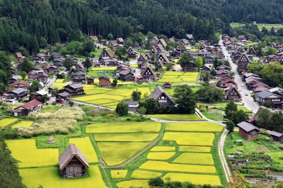 Shirakawa-go and Kanazawa Tour