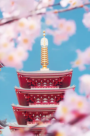 Senso-ji Temple