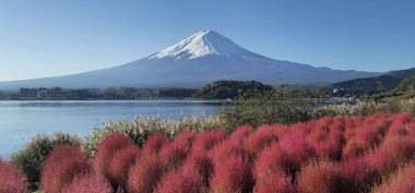 Mt. Fuji Tour