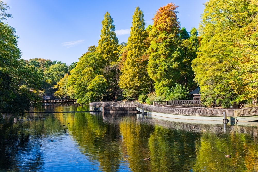 Inokashira Park