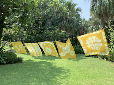 Handkerchief Plant Dyeing Workshop