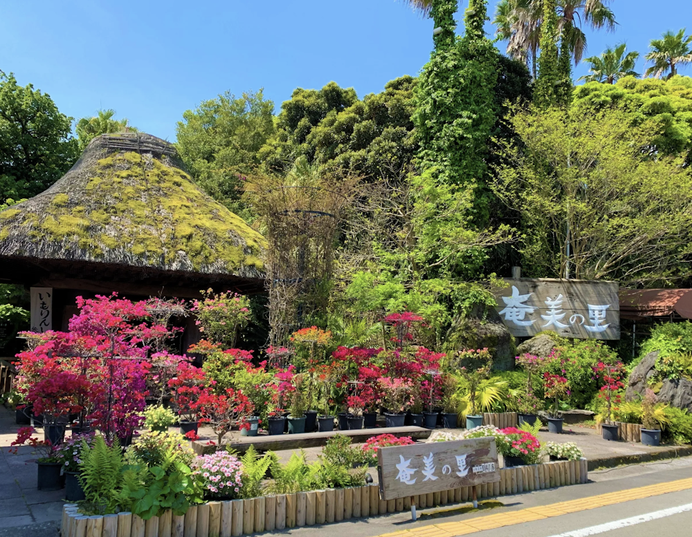 Amaminosato