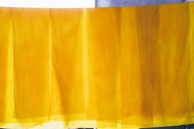Plant Dyeing