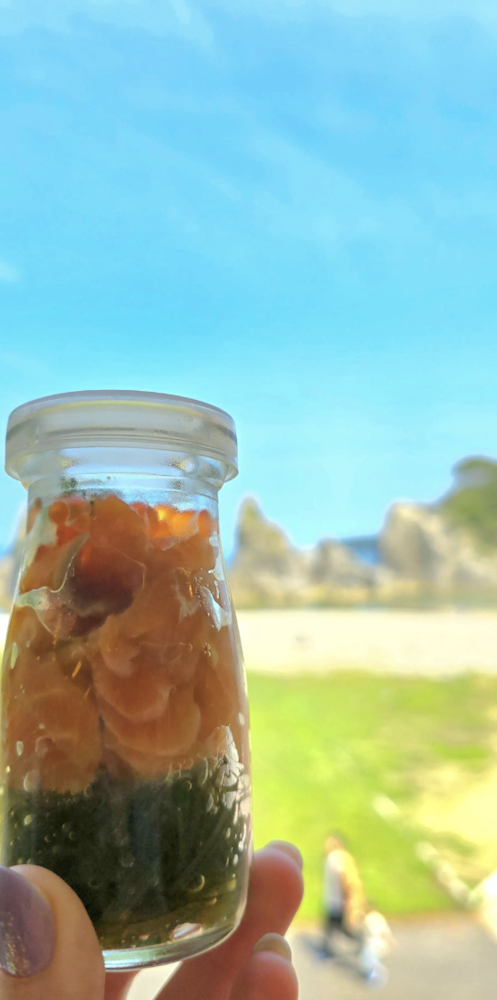 Michinoku Coastal Trail Area Activities