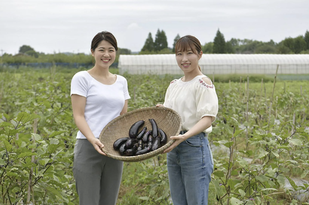 Pesticide-Free Farming Experience