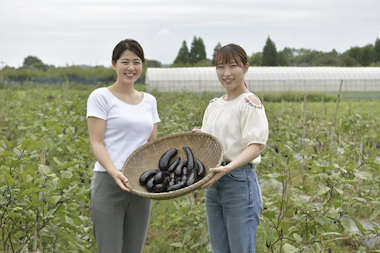 Pesticide-Free Farming Experience