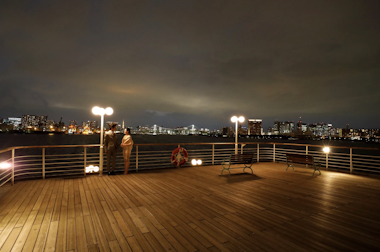 Tokyo Dinner Cruise