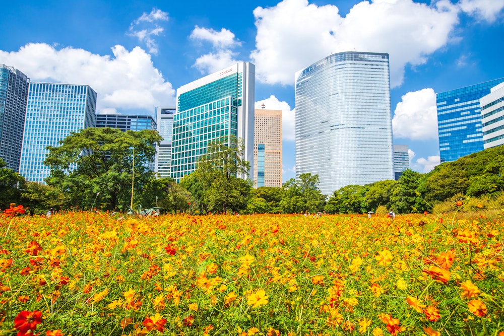 Hamarikyu Gardens
