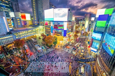 Shibuya Scramble Crossing