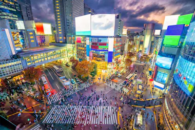 Shibuya Scramble Crossing
