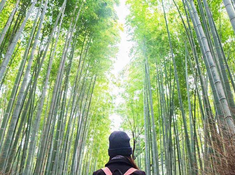 Kyoto UNESCO World Heritage Site Private Tour