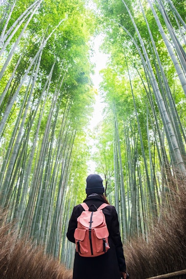 Arashiyama Bamboo Grove