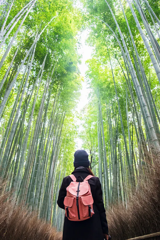 Arashiyama Bamboo Grove