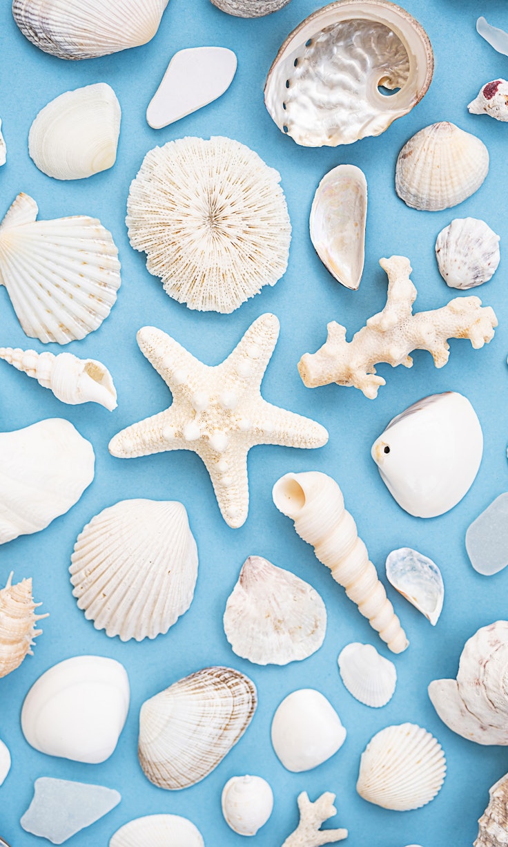 Shell nameplate making experience in Miyazaki - Trip To Japan
