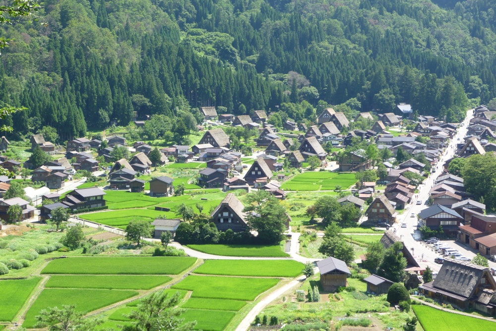 Shiroyama Tenshukaku Observatory
