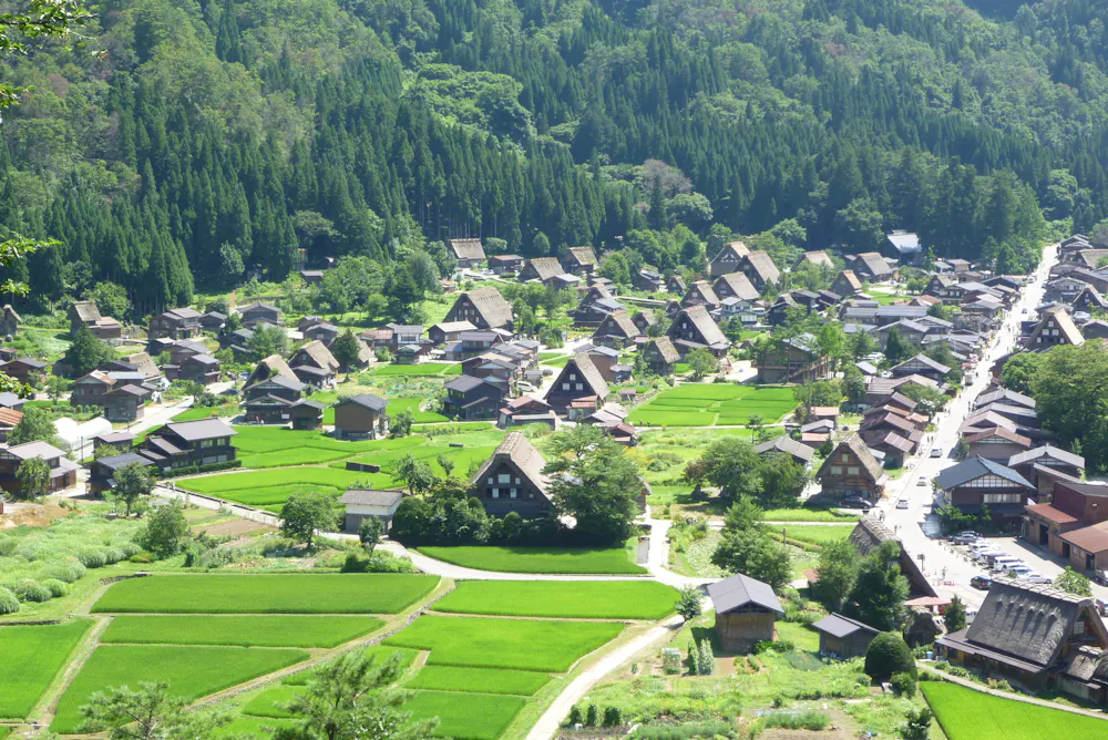 Shiroyama Tenshukaku Observatory