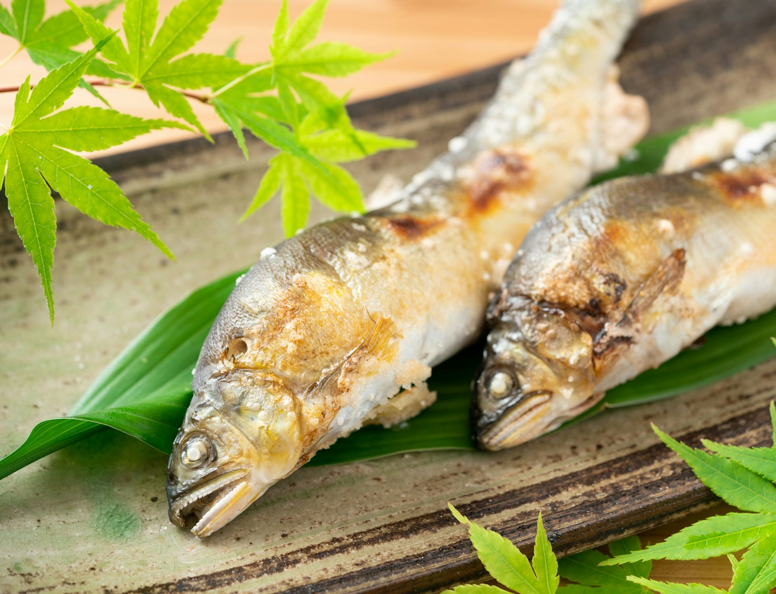 Grilled Salmon Grilled Salmon