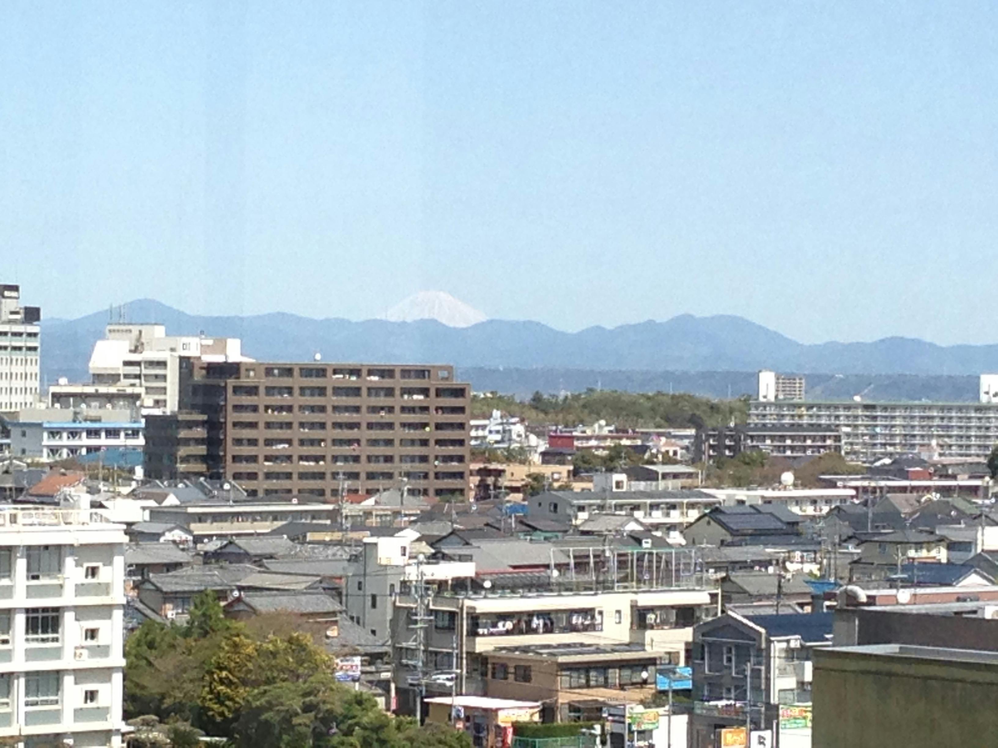 滨松市旅游指南 - Trip To Japan