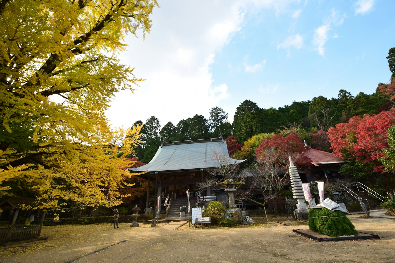 Autumn at Daisenji Temple with a giant ginkgo tree