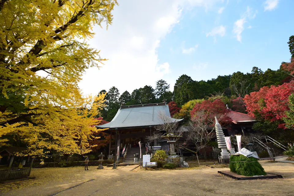 Autumn at Daisenji Temple with a giant ginkgo tree Autumn at Daisenji Temple with a giant ginkgo tree
