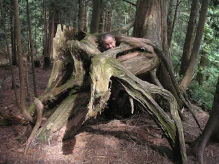 Akasawa Natural Recreation Forest