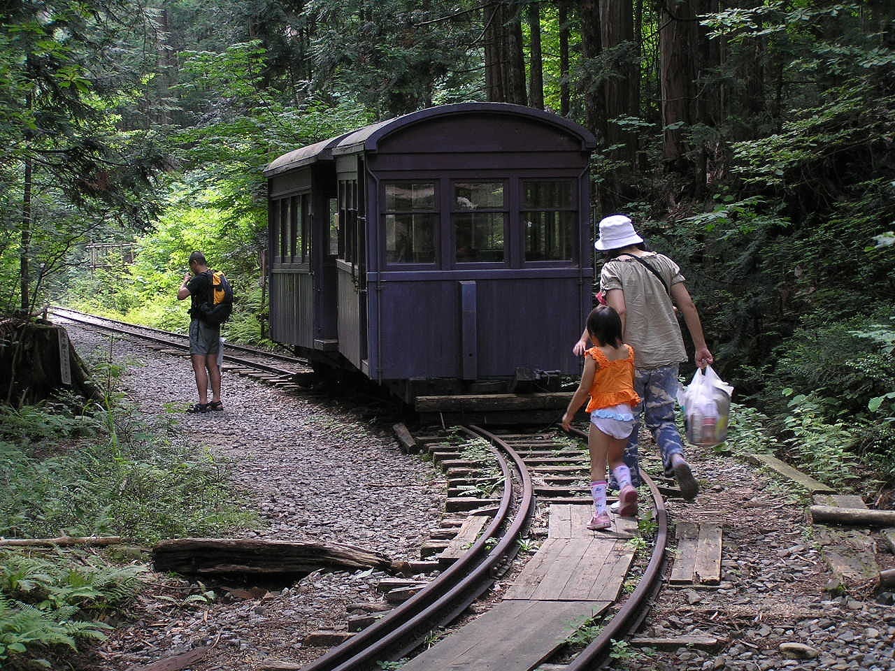 Akasawa Natural Recreation Forest