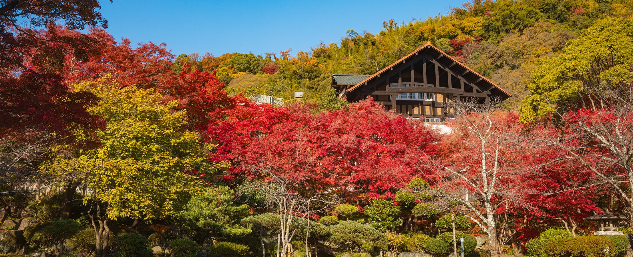 Asahi Beer Oyamazaki Villa Museum