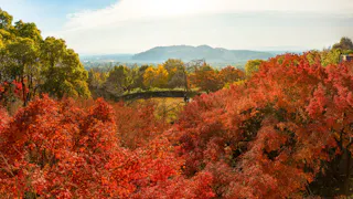 Asahi Beer Oyamazaki Villa Museum