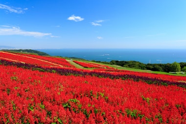 Awaji Hanasajiki Park