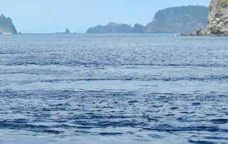 Brother Island (Ani-jima)