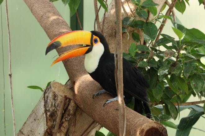 Chiba City Zoological Park