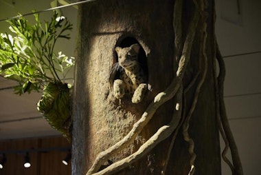 Chiba City Zoological Park