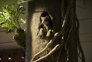 Chiba City Zoological Park