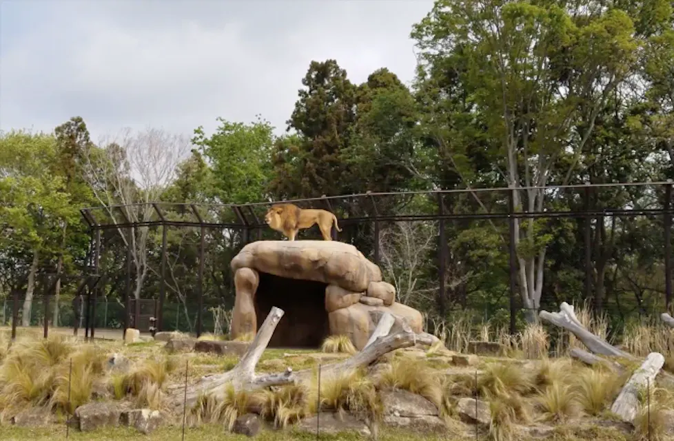 Chiba City Zoological Park Chiba City Zoological Park