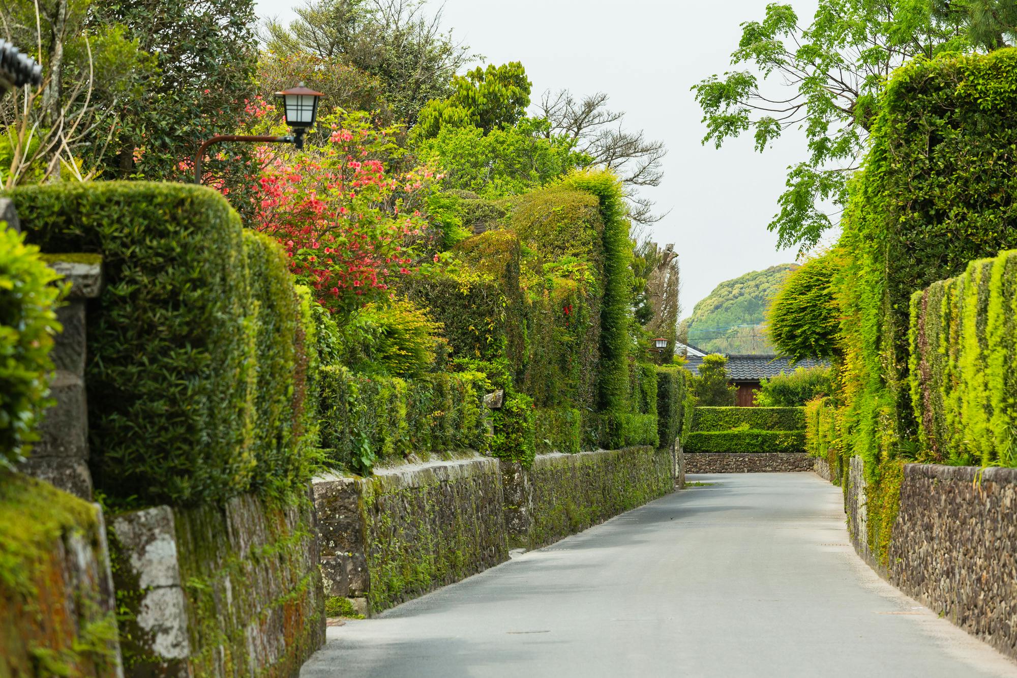 Chiran Samurai Residence Street