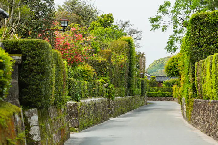 Chiran Samurai Residence Street