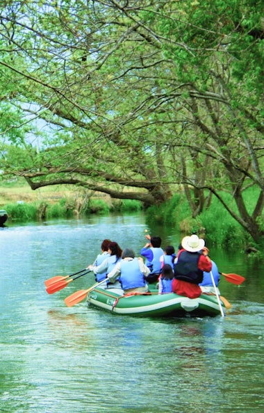 Daio Wasabi Farm Daio Wasabi Farm