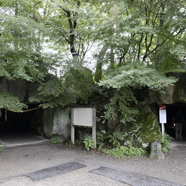 Daio Wasabi Farm Daio Wasabi Farm