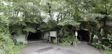 Daio Wasabi Farm