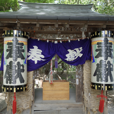 Daio Wasabi Farm Daio Wasabi Farm