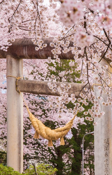 Eboshiyama Park Eboshiyama Park