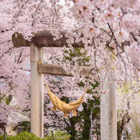 Eboshiyama Park Eboshiyama Park